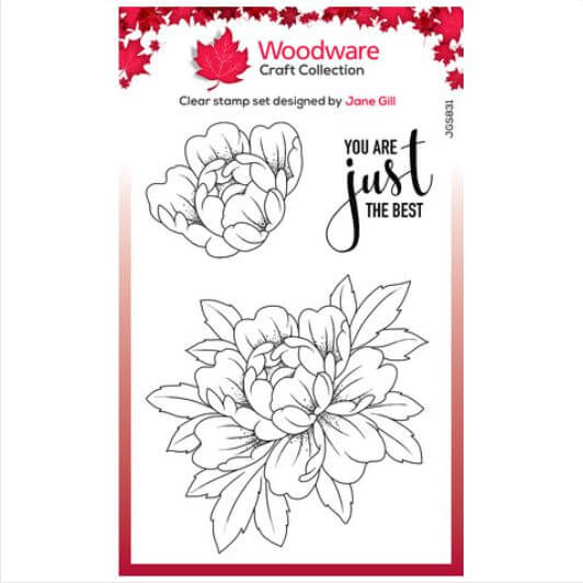 jgs831_woodware-just-the-best-clear-stamps